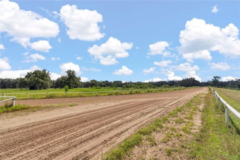 Tiny photo for Reddick, FL 32686 (MLS # OM731664)