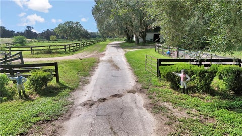 Tiny photo for Reddick, FL 32686 (MLS # OM731664)