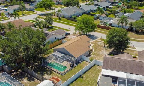 A home in RIVERVIEW