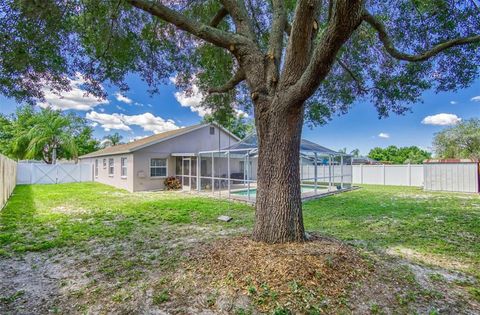 A home in RIVERVIEW