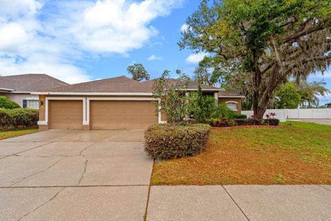 2539 CENTENNIAL FALCON DRIVE VALRICO FL 33596