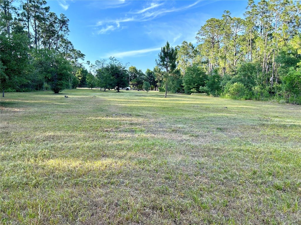 Photo of Limpkin Lane, Frostproof, FL 33843 (MLS # P4939737)