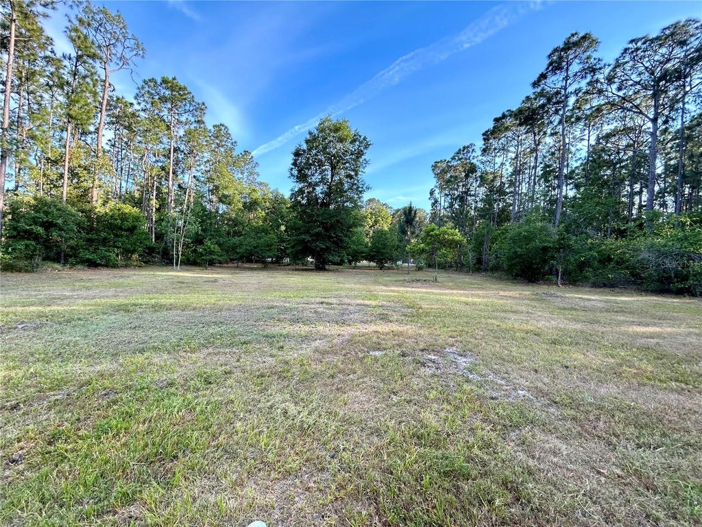 Photo of Limpkin Lane, Frostproof, FL 33843 (MLS # P4939737)
