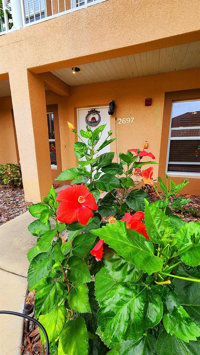 VILLAS/EMERALD LAKE CONDO PH 4 - Residential