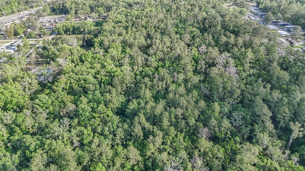 Photo of Vfw Road, Brooksville, FL 34601 (MLS # TB8493859)