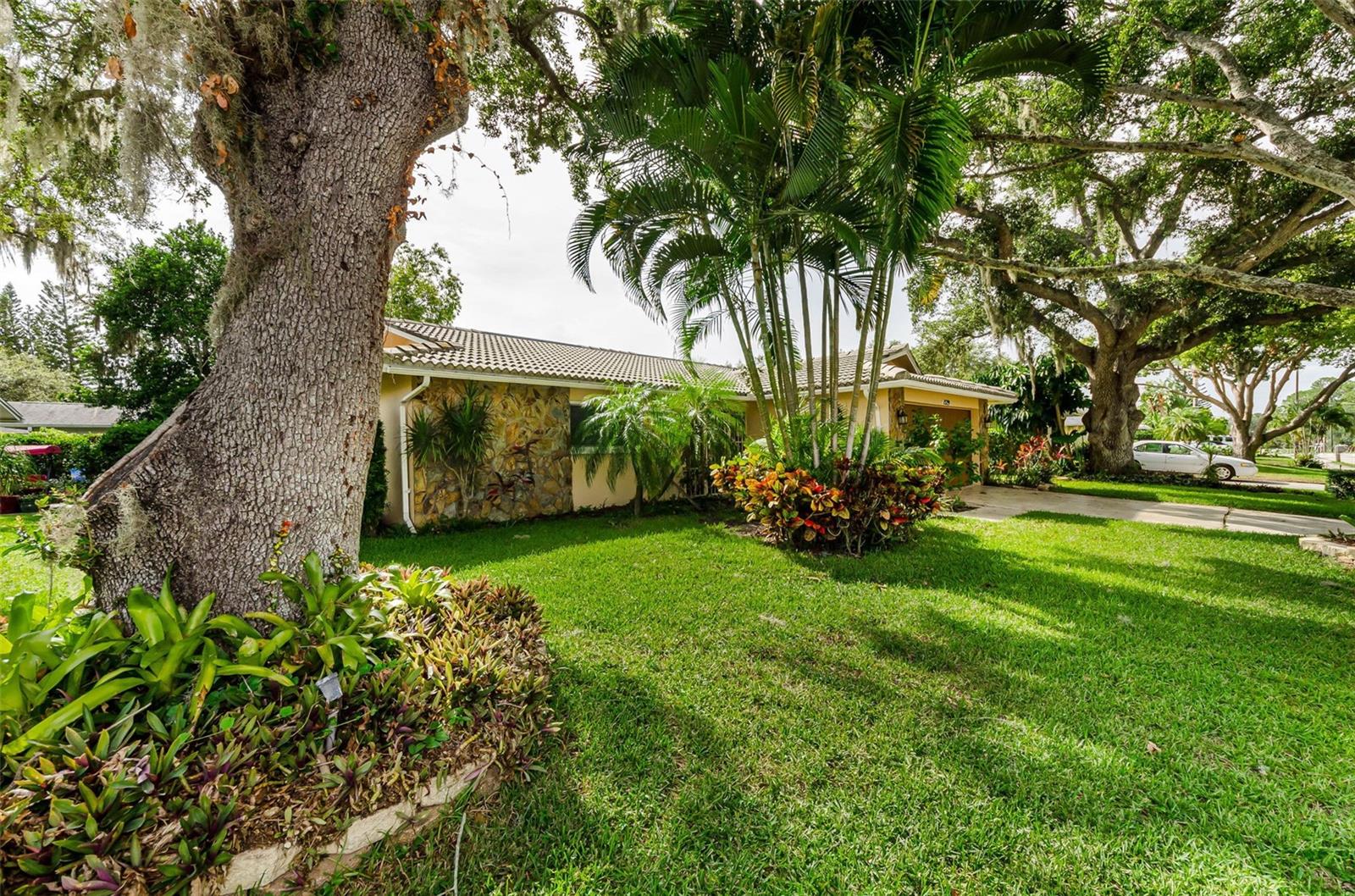 1529 E DORCHESTER DRIVE