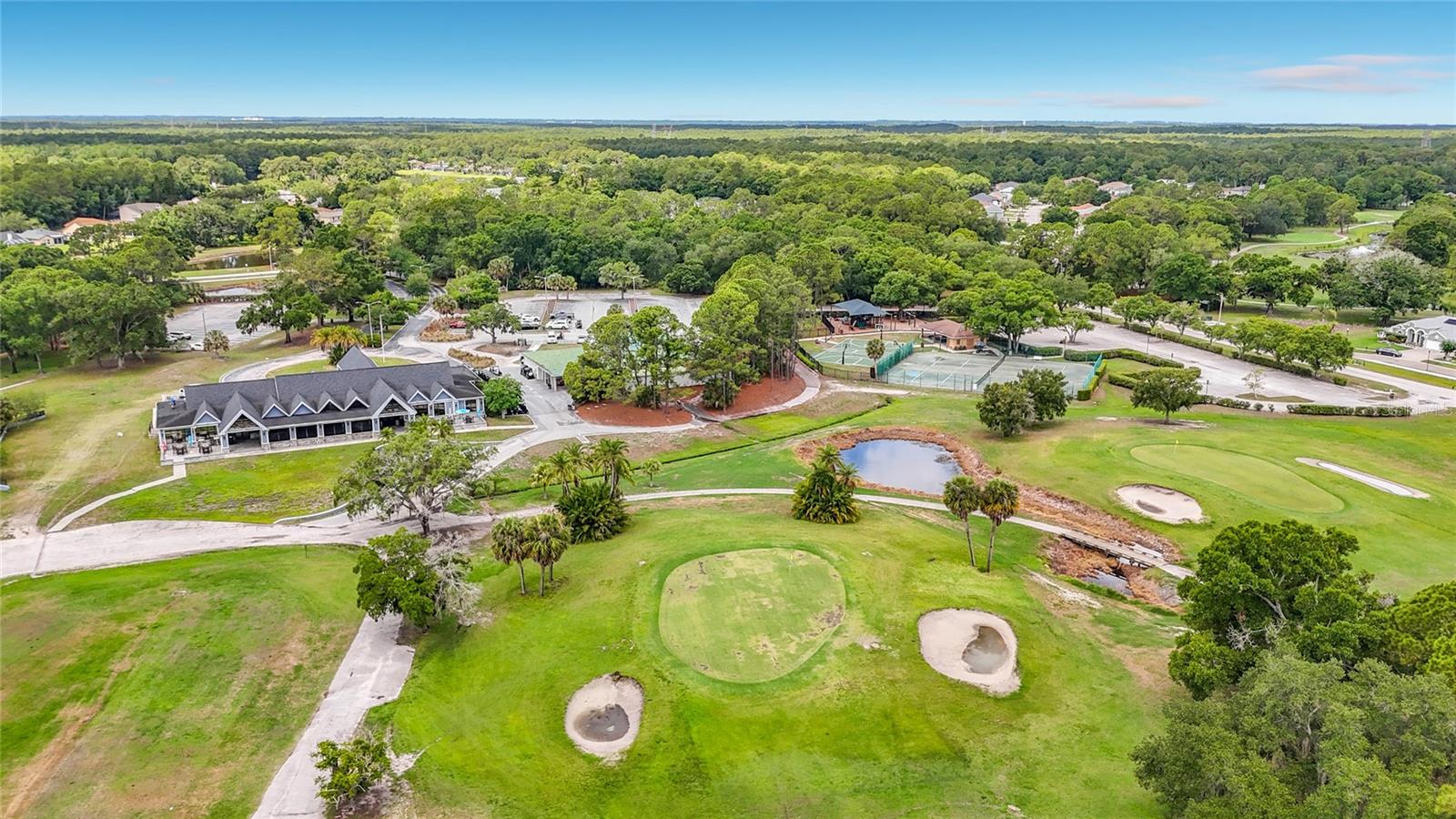 NINE EAGLES UNIT ONE SEC I - Residential