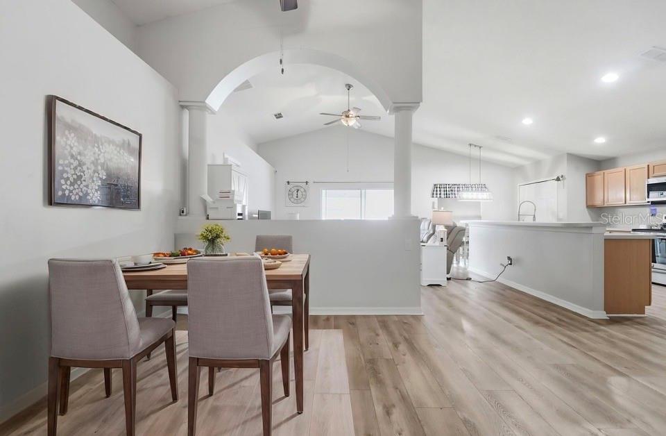 BLUE SPRINGS VILLAS - Residential