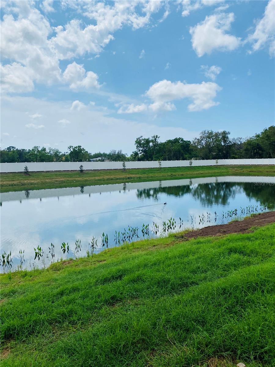 LAKEVIEW CROSSING - Residential