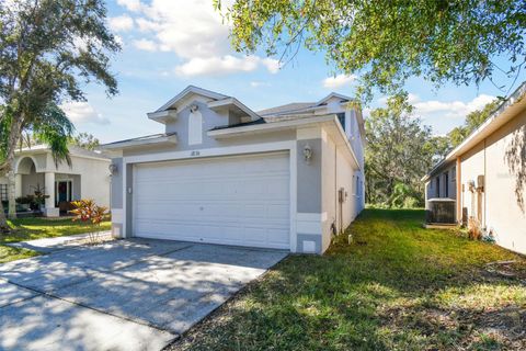 A home in TAMPA