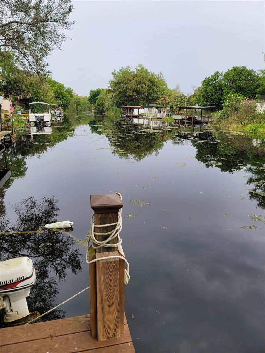 Photo of 27728 Lisa Drive, Tavares, FL 32778 (MLS # O6428181)