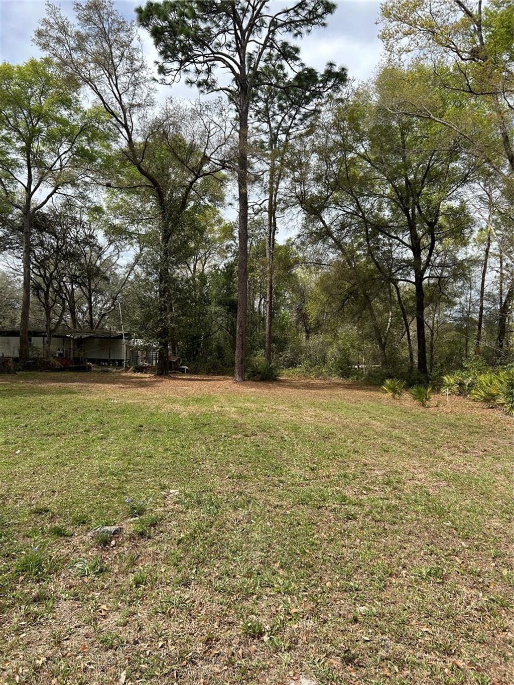 Photo of 4th Street, Altoona, FL 32702 (MLS # O6392549)