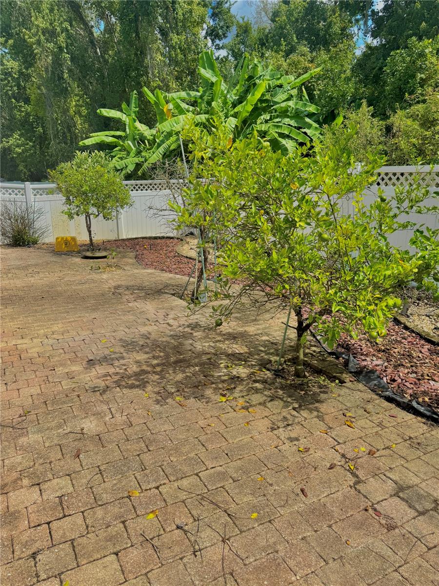 346 PINEWOOD DRIVE