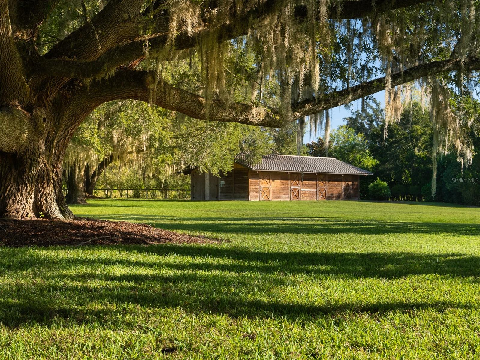 STEEPLECHASE FARMS - Residential