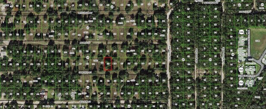 NICE BUILDING LOT WHERE NEW HOMES ARE BEING BUILT. NEARBY SHOPPING, DINING, RECREATION, HOSPITAL. INVERNESS SITS ON THE TSALA APOPKA CHAIN OF LAKES. HISTORIC DOWNTOWN HAS MANY SHOPS AND RESTAURANTS. EASY DRIVE TO CRYSTAL RIVER AND THE GULF. PLEASE CHECK WITH CITY OF INVERNESS REGARDING WATER. SOME HOMES HAVE IT AND SOME HAVE A WELL.