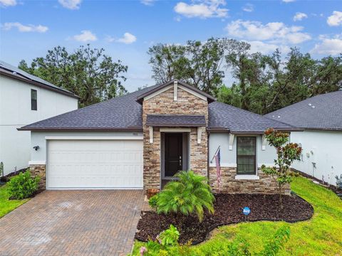 Photo of 9810 Carabiner Way, Land O Lakes, FL 34637 (MLS # TB8403756)