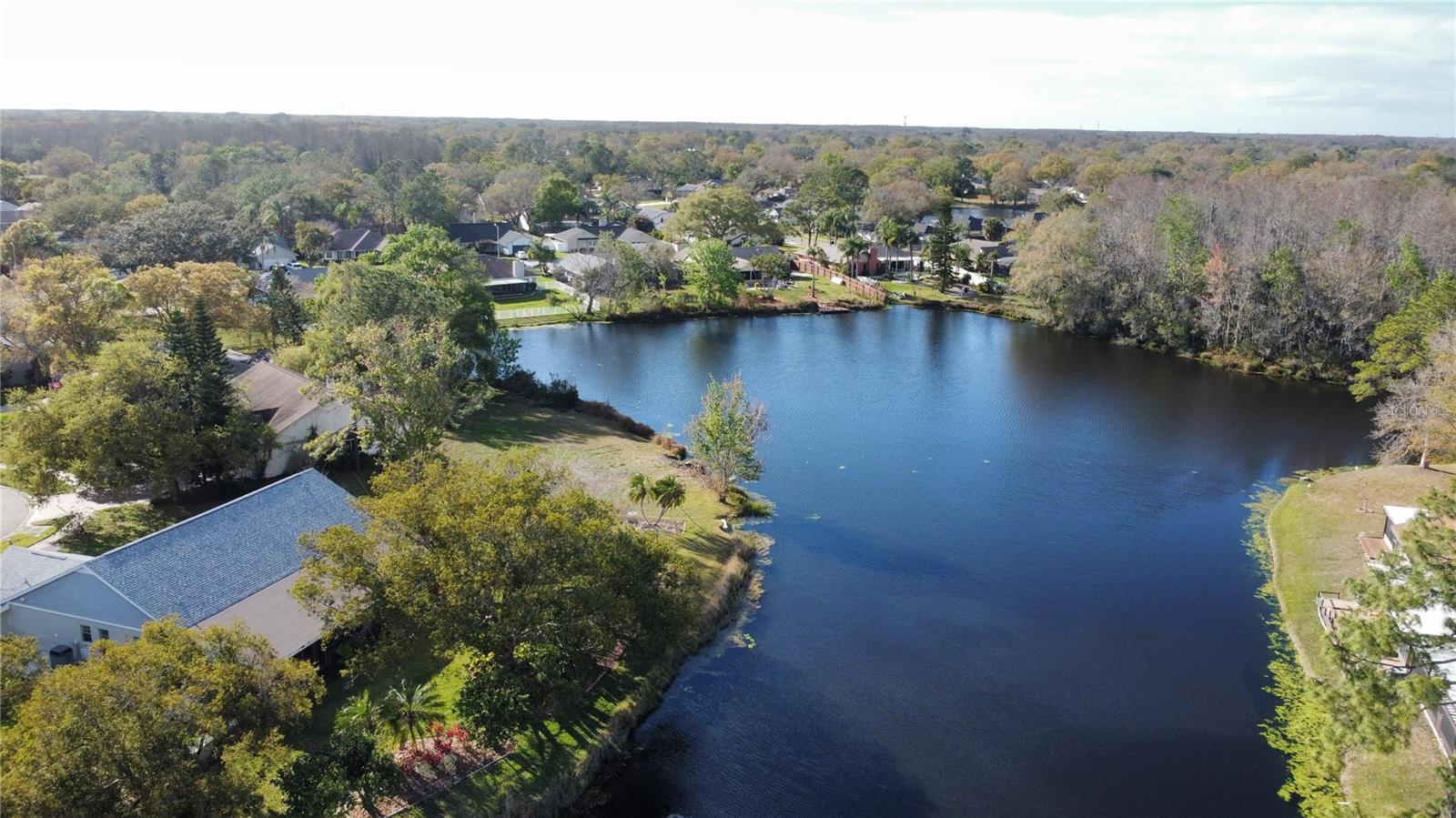 CARROLLWOOD SPRGS CLUSTER HMS - Residential