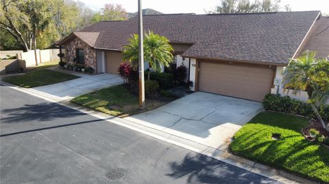 Photo of 4075 Shoreside Circle, Tampa, FL 33624 (MLS # O6387759)