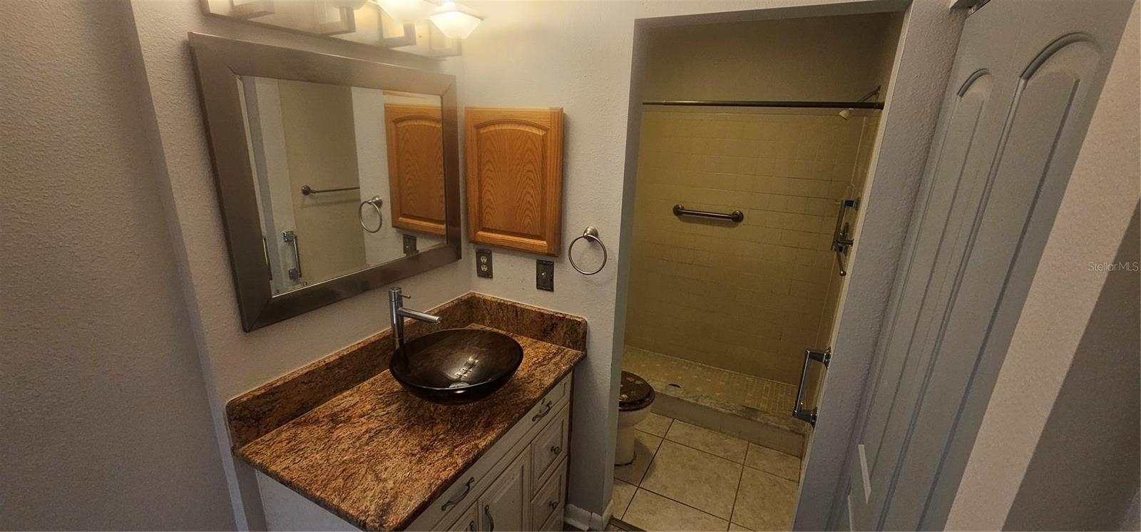 CARROLLWOOD SPRGS CLUSTER HMS - Residential