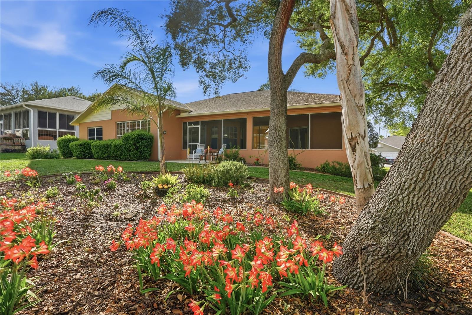 TIMBER PINES - Residential