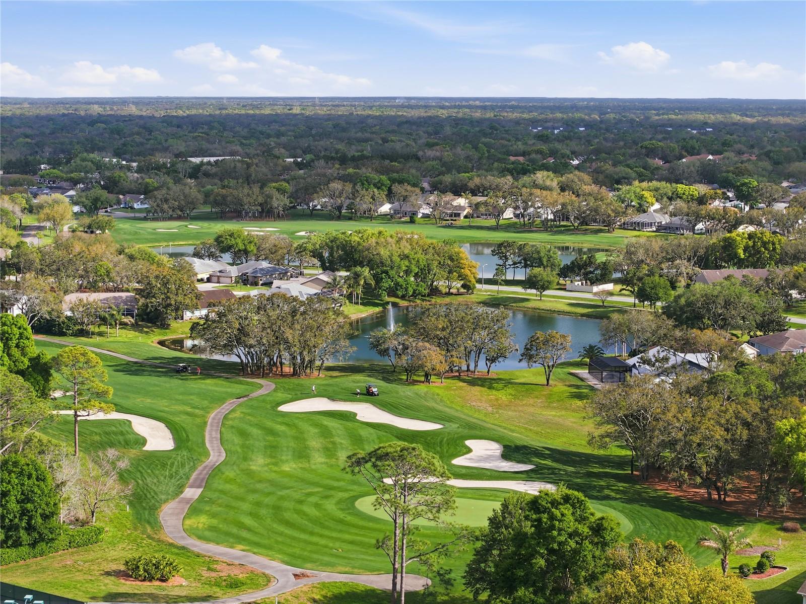 TIMBER PINES - Residential