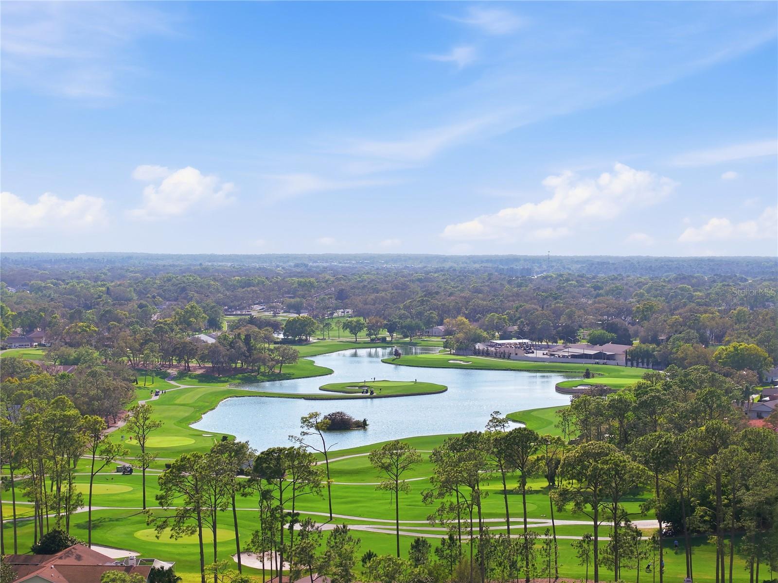 TIMBER PINES - Residential