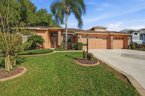 2309 FAIRSKIES DRIVE SPRING HILL FL 34606