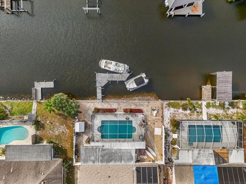 A home in APOLLO BEACH