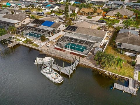 A home in APOLLO BEACH