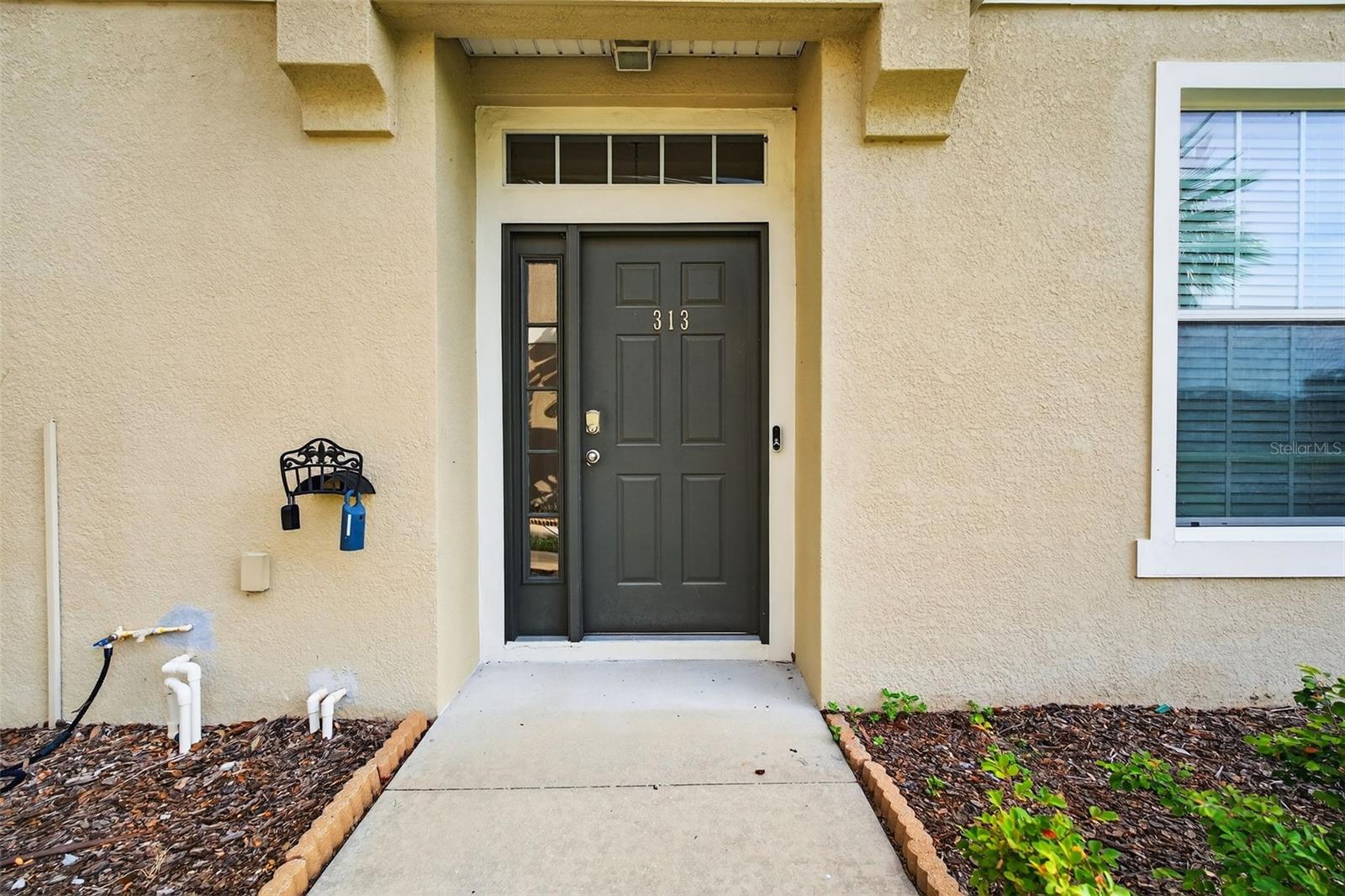 7001 INTERBAY BOULEVARD 313