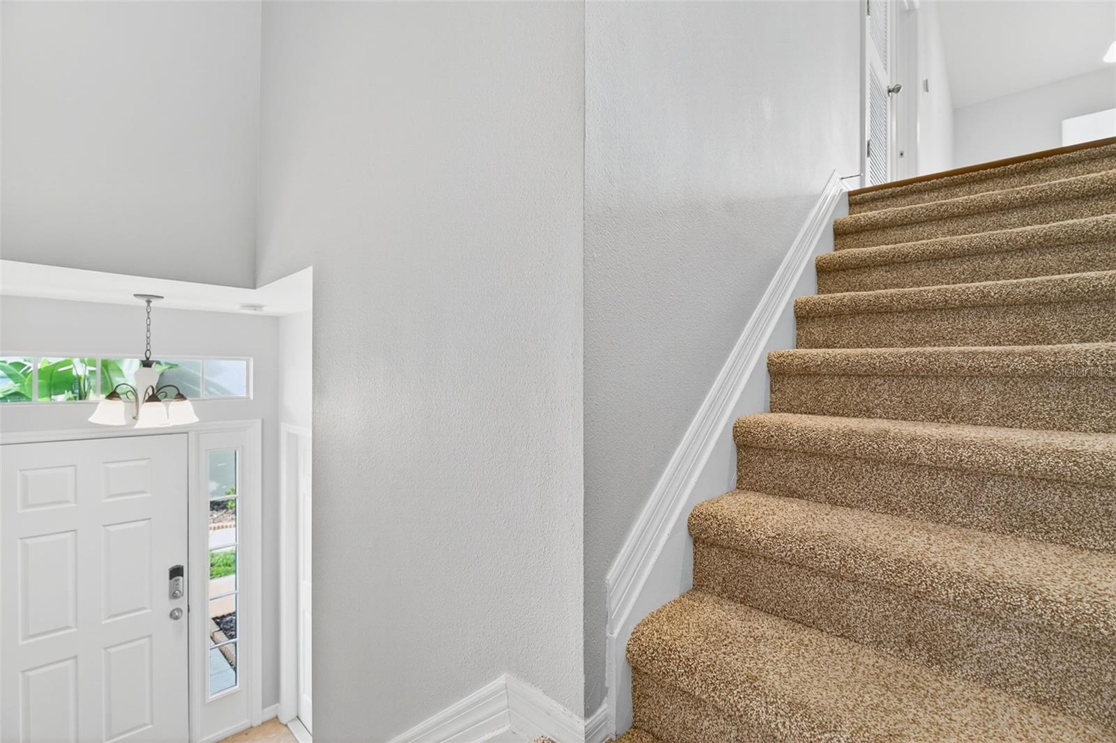 7001 INTERBAY BOULEVARD 313