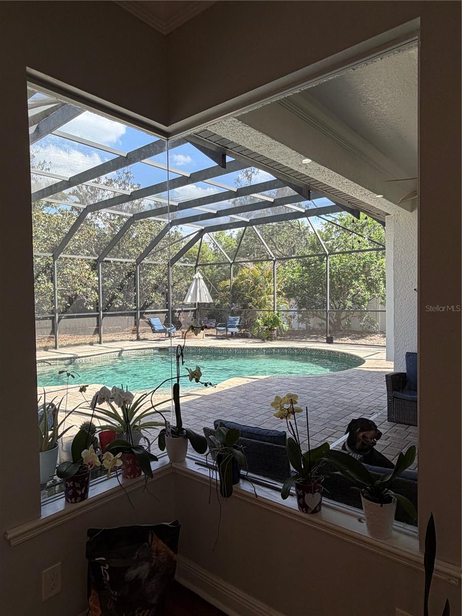 ORCHID LAKE VILLAGE - Residential