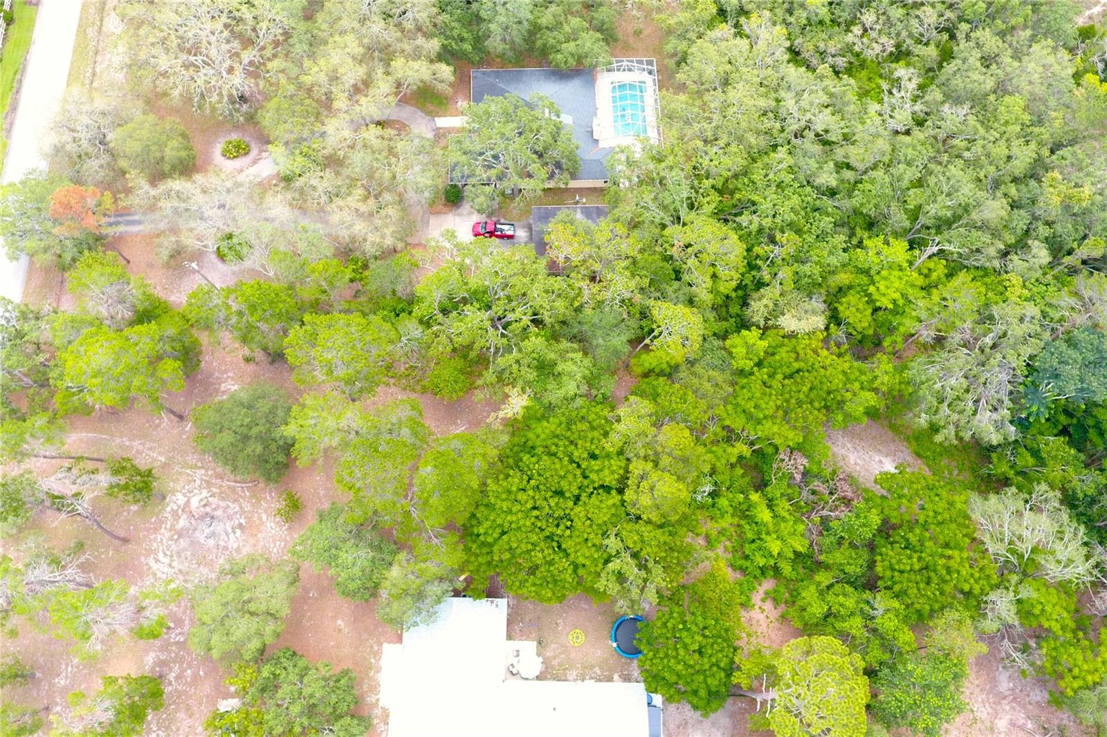 DUANE CT