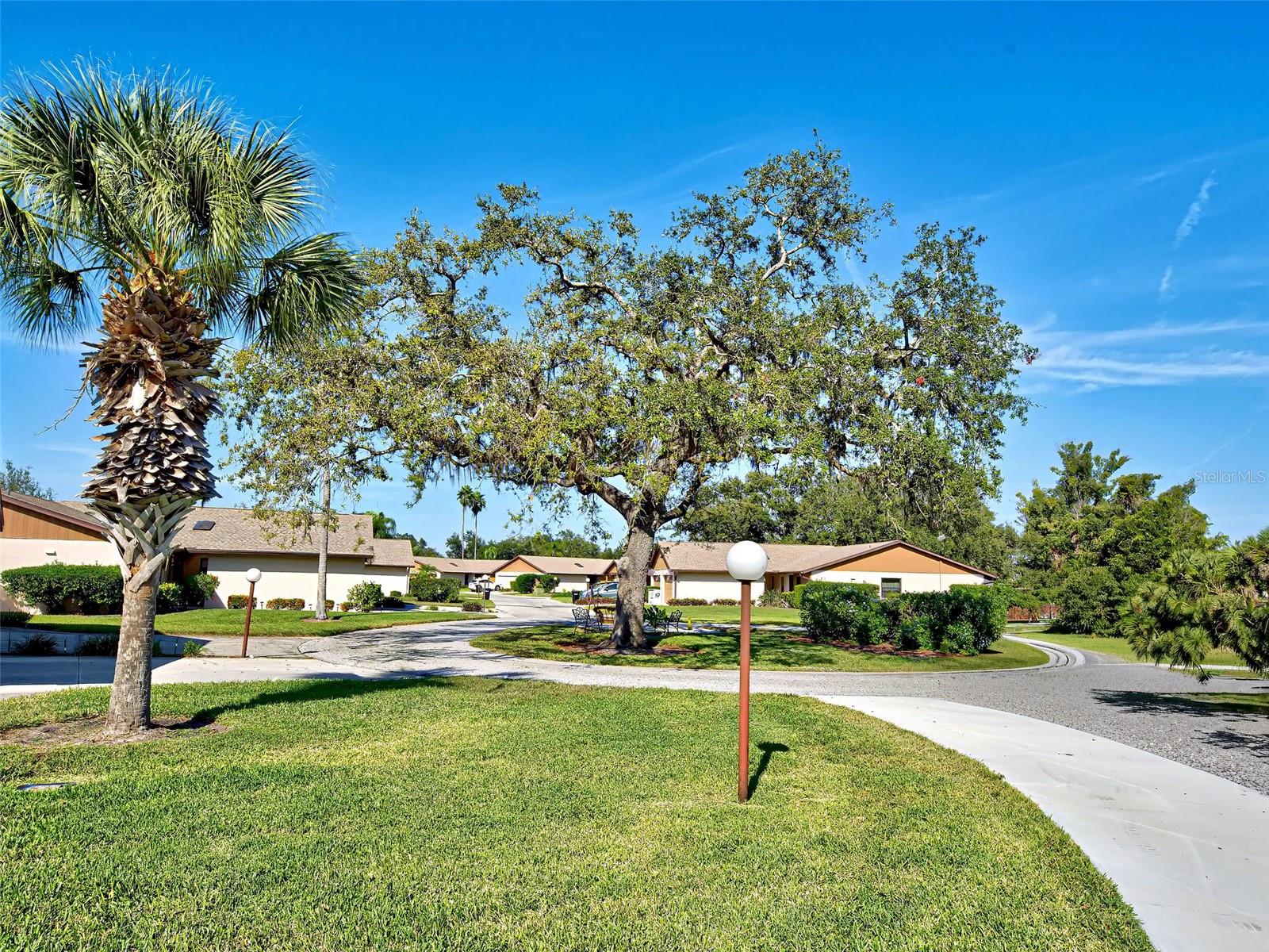 CURRY COVE - Residential