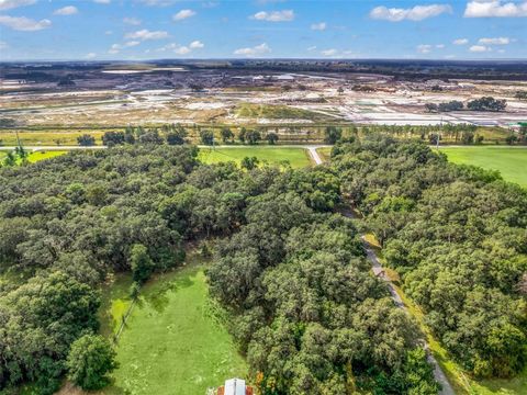 Tiny photo for 227 County Road 500 & Cr 470, Wildwood, FL 34785 (MLS # G5062340)