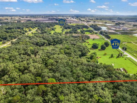 Tiny photo for 227 County Road 500 & Cr 470, Wildwood, FL 34785 (MLS # G5062340)