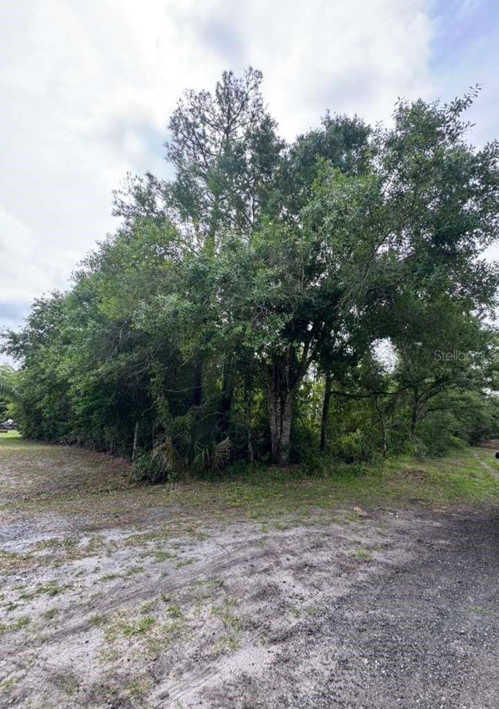 Photo of 1249 Sable Palm Drive, Christmas, FL 32709 (MLS # O6407246)