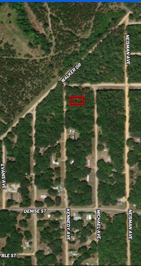 LOT 31 KENNEDY AVENUE INTERLACHEN FL 32148