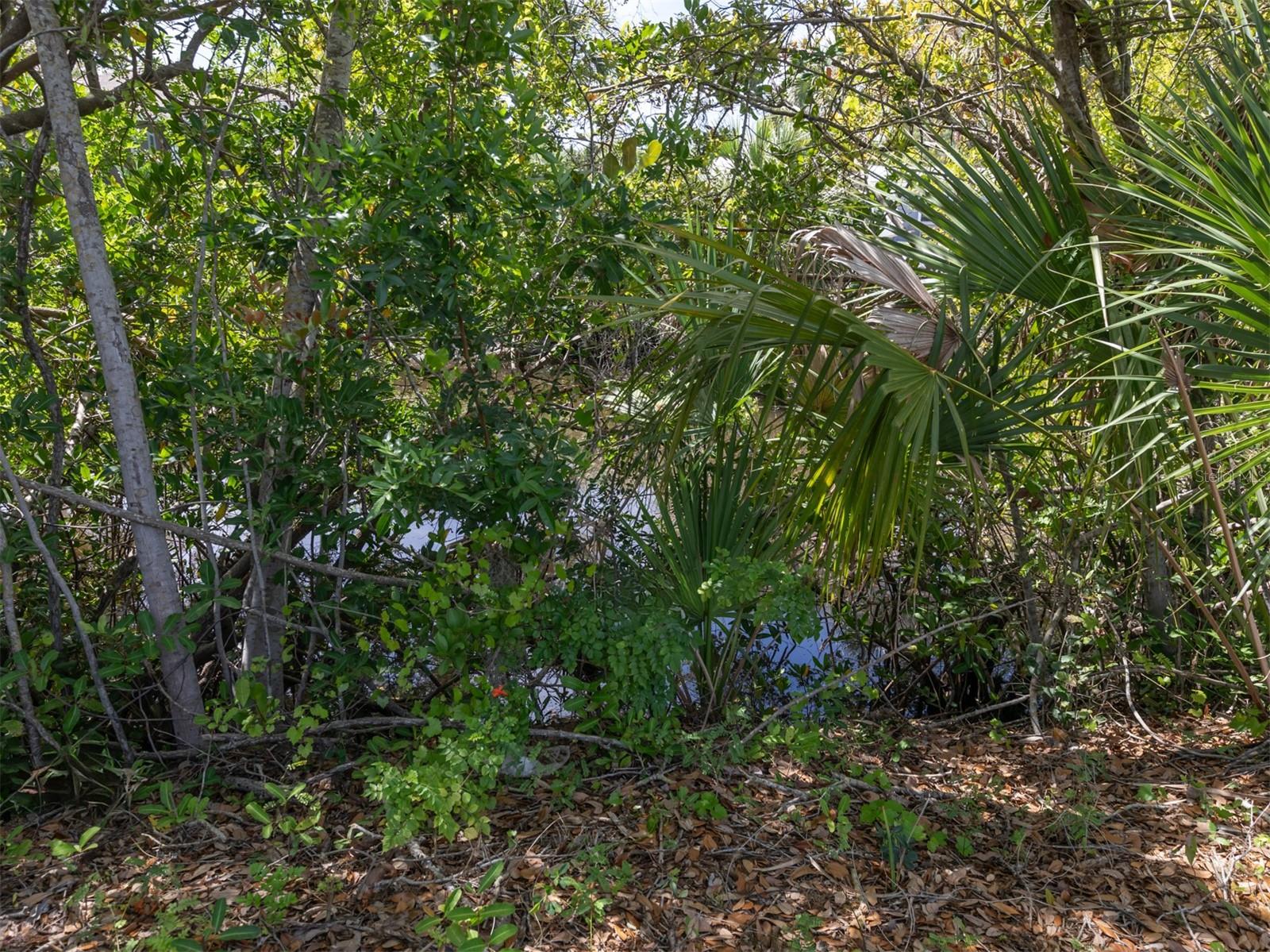 NOKOMIS ACRES AMD - Land