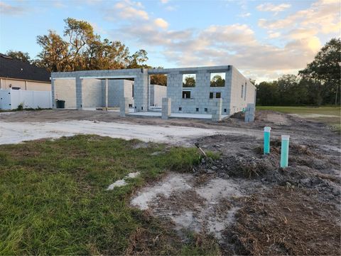 A home in PLANT CITY