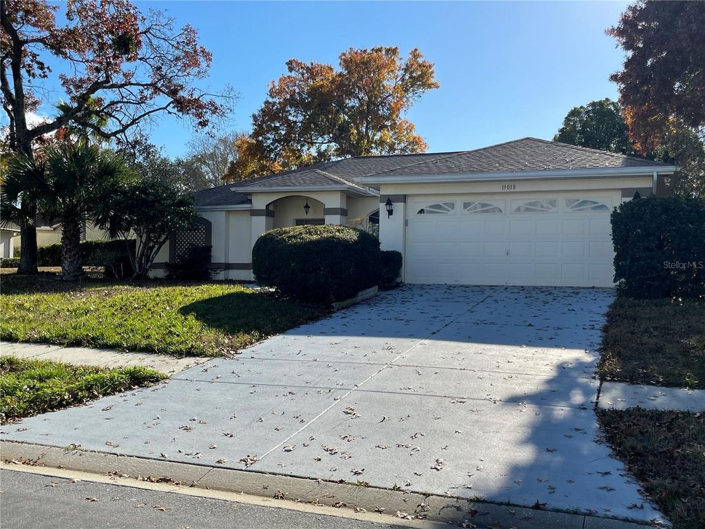 Photo of 11018 Audie Brook Drive, Spring Hill, FL 34608 (MLS # W7882434)