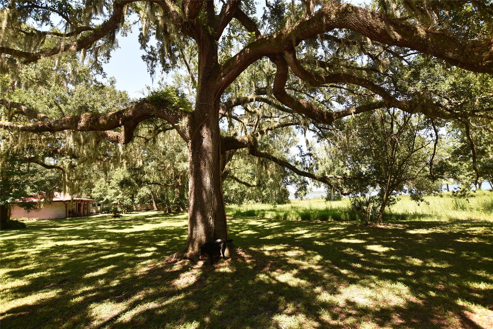 Ashby Shores North Shore Div - Residential