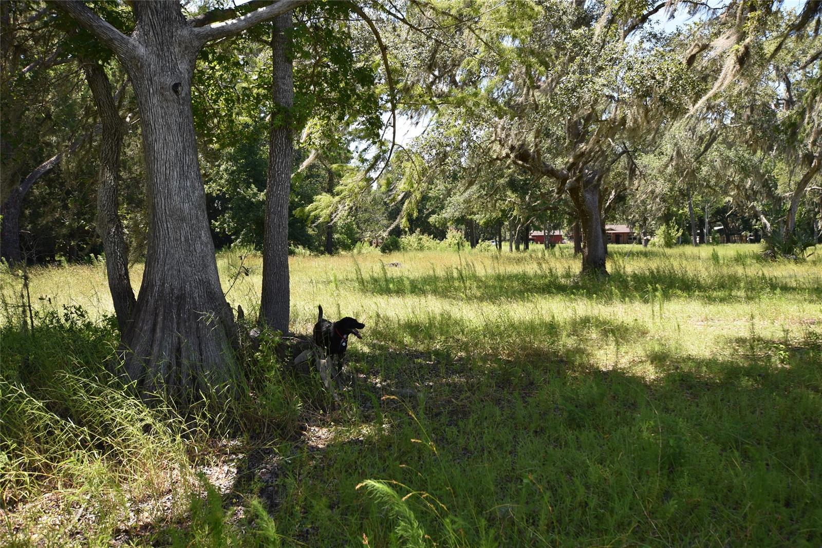 Ashby Shores North Shore Div - Residential