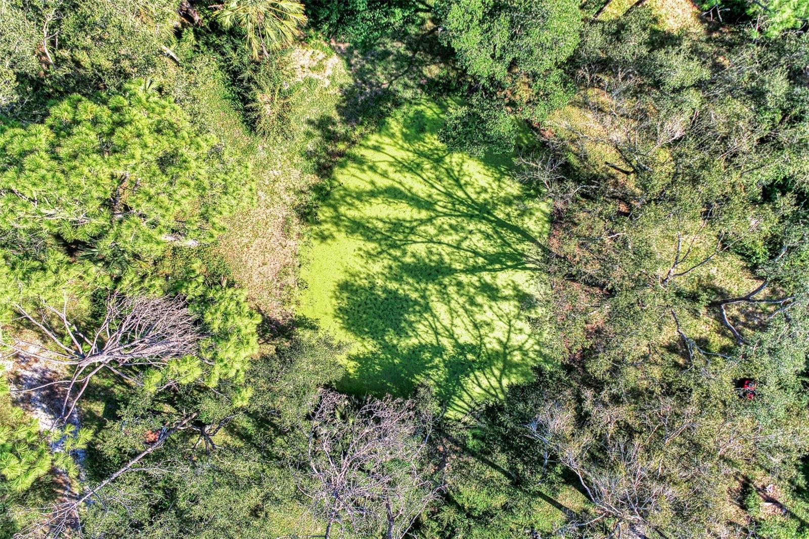 NORTH PORT CHARLOTTE ESTATES ADD 02 - Land