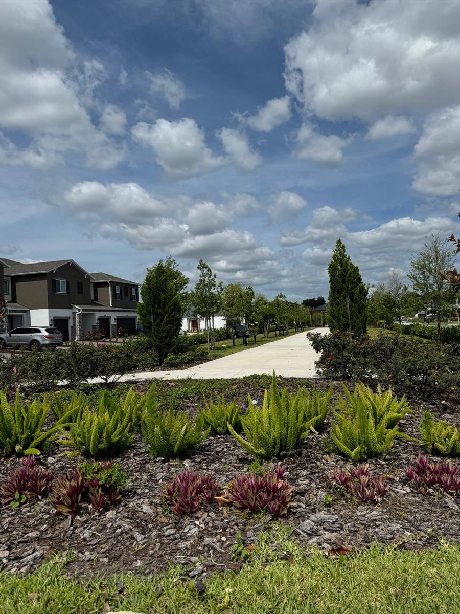 TYSON RANCH - Residential Lease