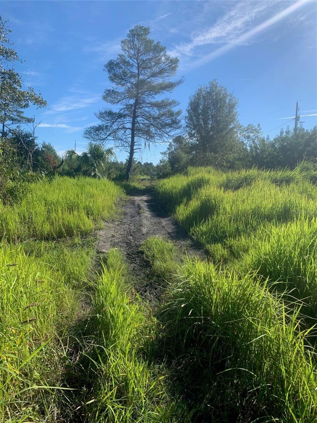 Photo of 2701 Metro Drive, Ruskin, FL 33570 (MLS # TB8437000)