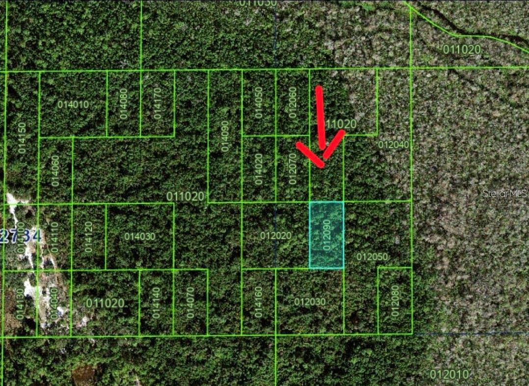 TBD UNINCORPORATED POINCIANA - Photo 2