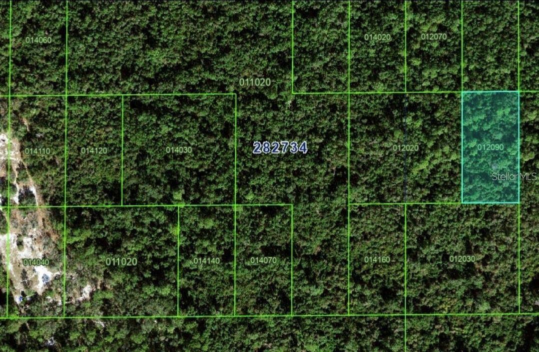 TBD UNINCORPORATED POINCIANA - Photo 4