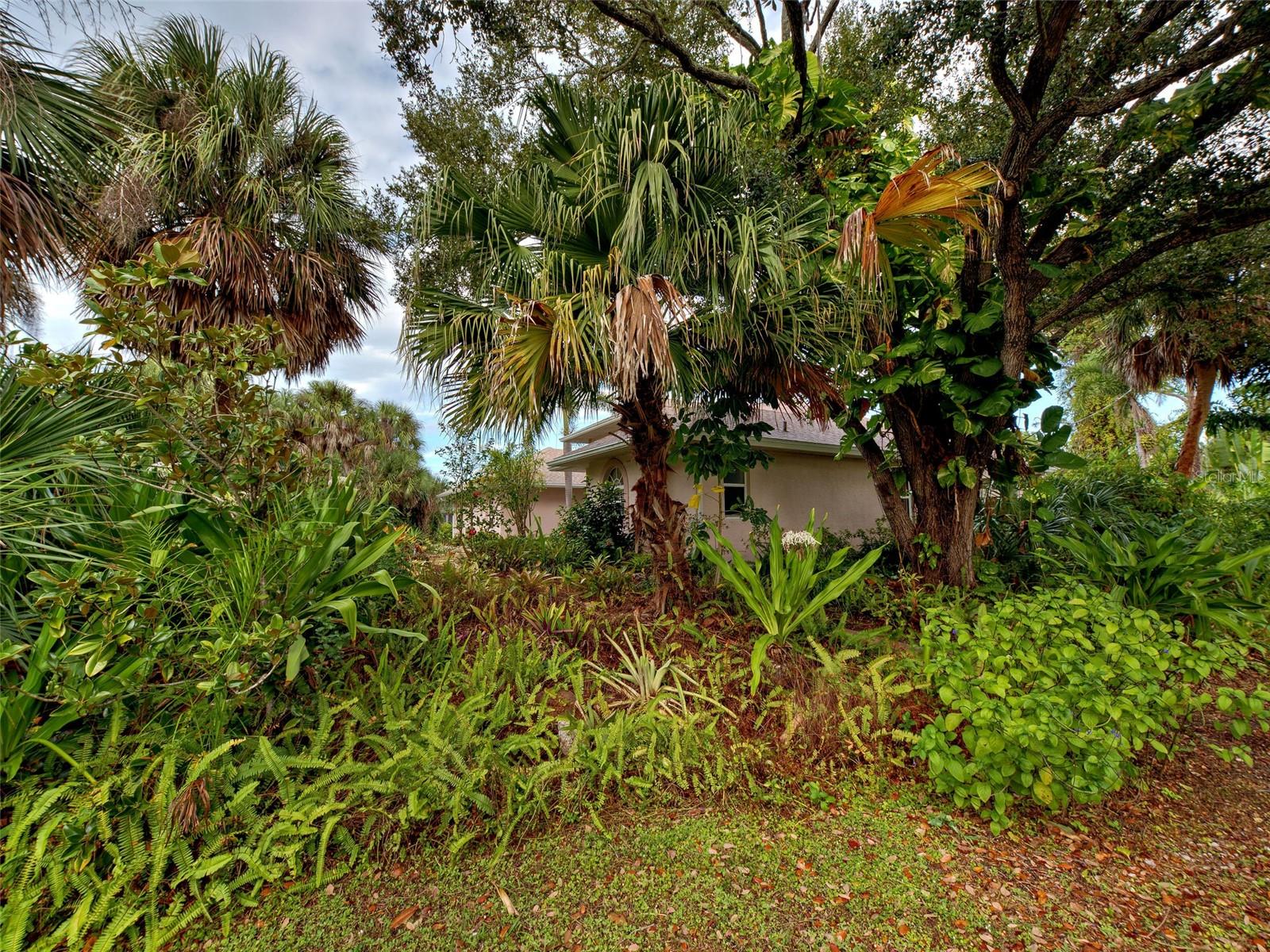 SOUTH VENICE - Residential