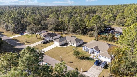 A home in CITRUS SPRINGS